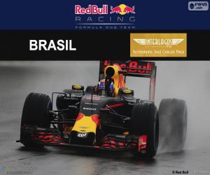 Puzzle Μαξ Φερστάπεν, 2016 Βραζιλίας Grand Prix